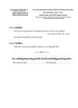 Kỳ thi chọn học sinh giỏi lớp 10 THPT năm học 2012 - 2013 đề thi môn Ngữ Văn